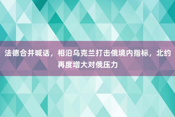 法德合并喊话，相沿乌克兰打击俄境内指标，北约再度增大对俄压力