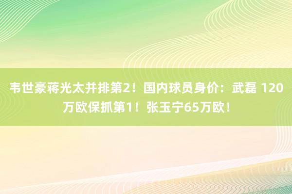 韦世豪蒋光太并排第2！国内球员身价：武磊 120万欧保抓第1！张玉宁65万欧！