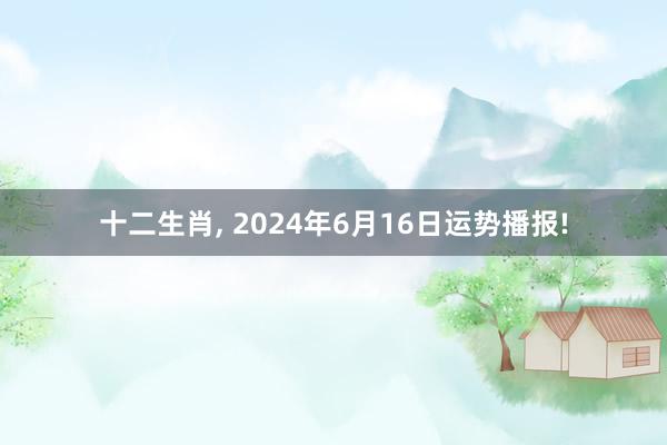 十二生肖, 2024年6月16日运势播报!