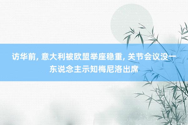 访华前, 意大利被欧盟举座稳重, 关节会议没一东说念主示知梅尼洛出席