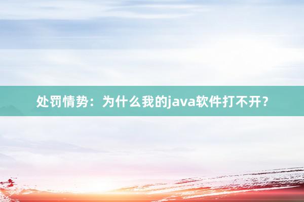 处罚情势：为什么我的java软件打不开？