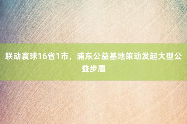 联动寰球16省1市，浦东公益基地策动发起大型公益步履