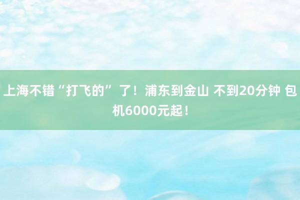 上海不错“打飞的” 了！浦东到金山 不到20分钟 包机6000元起！